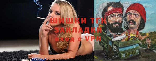 стафф Богданович