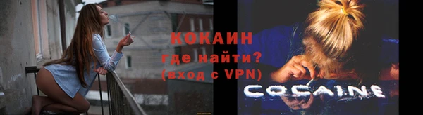 стафф Богданович