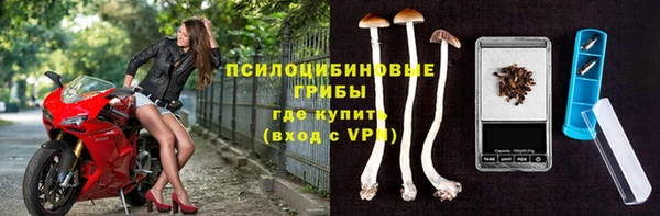 стафф Богданович