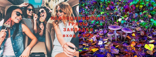 стафф Богданович