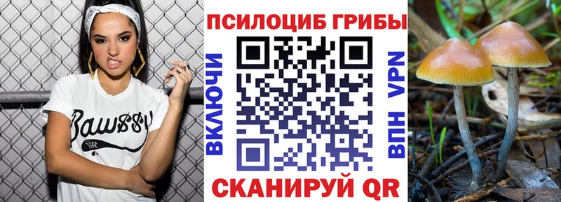 Псилоцибиновые грибы прущие грибы  Калуга 